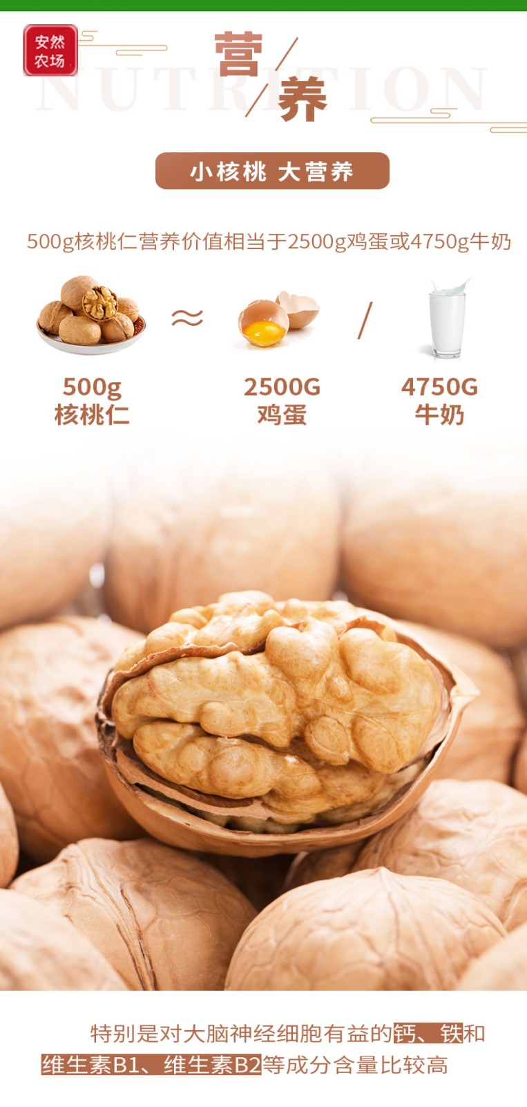 核桃8.jpg