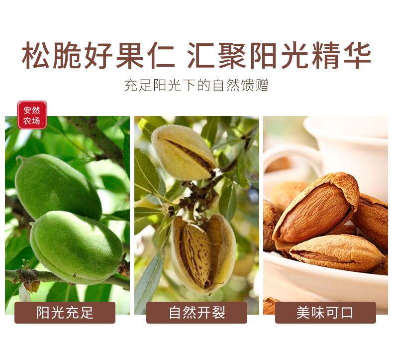 巴旦木2.jpg