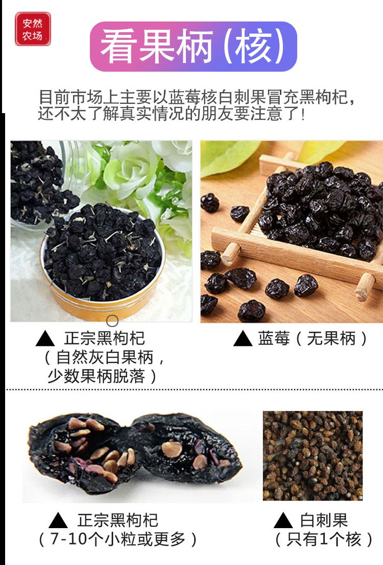 黑枸杞9.jpg