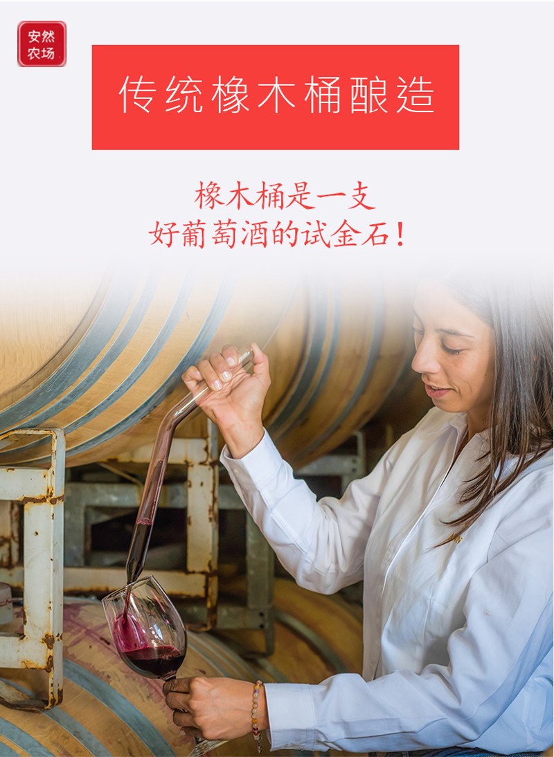 帕里阿尼萨别拉维8.jpg