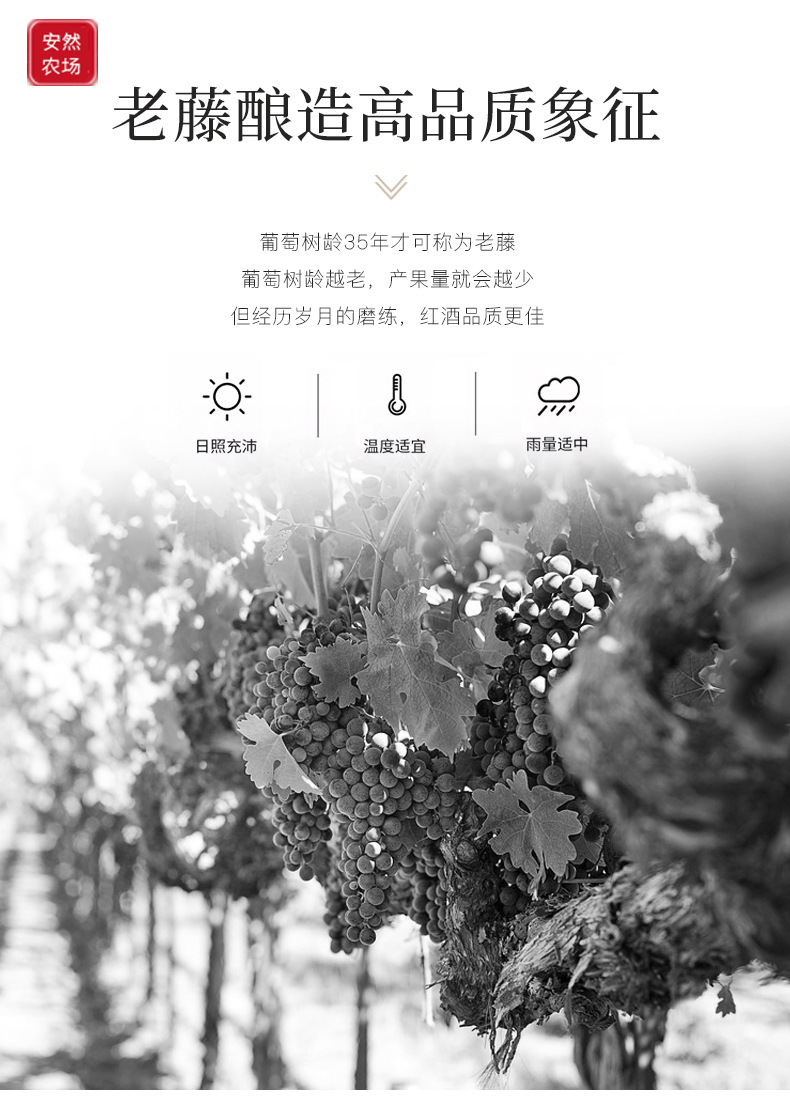 斯大林语录穆库扎尼7.JPG