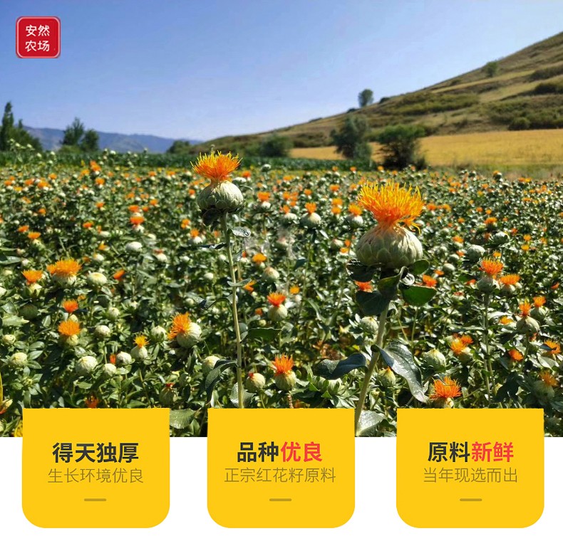 红花籽油4.jpg