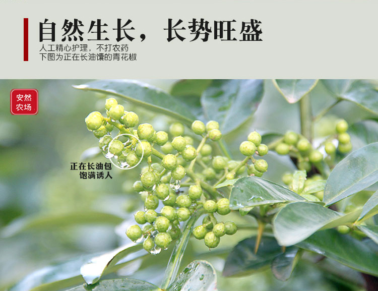 江津一级干青花椒3.jpg