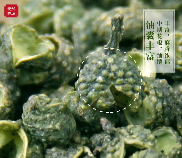 江津一级干青花椒10.jpg