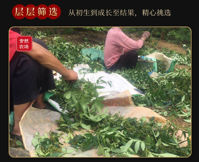 云南特级干青花椒6.png