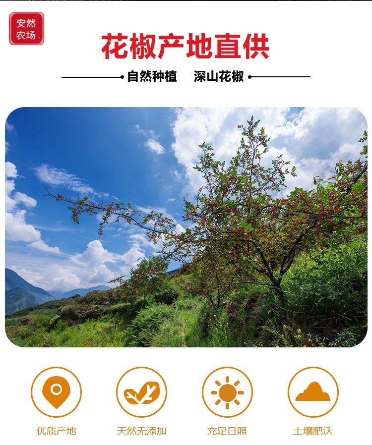 茂汶一级大红袍3.JPG