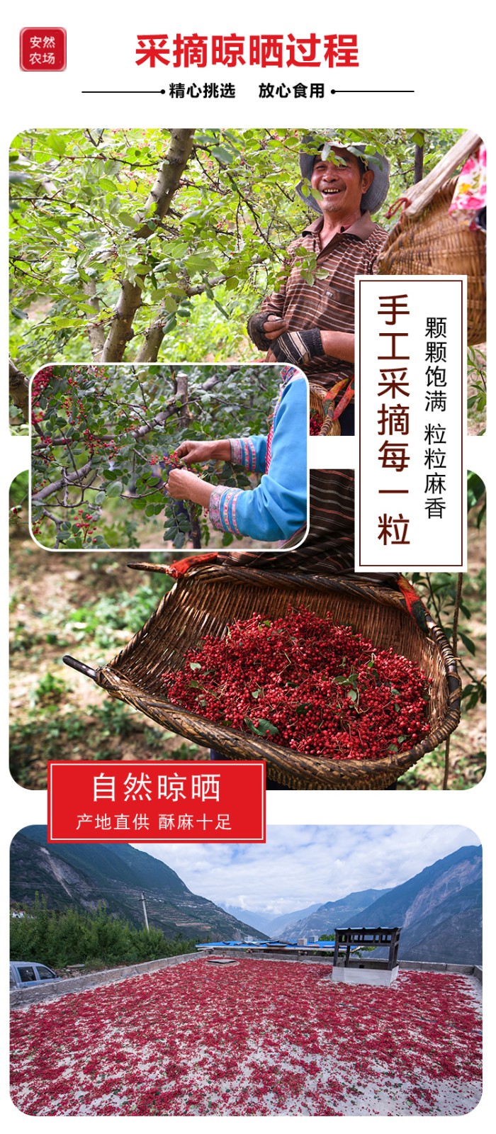 茂汶一级大红袍4.jpg